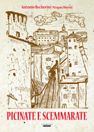 Picinate e scemmarate