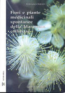 Fiori e piante medicinali spontanee della Maremma collinare