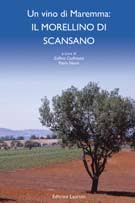 Un vino di Maremma: il Morellino di Scansano